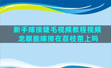 新手嫁接睫毛视频教程视频 龙眼能嫁接在荔枝苗上吗